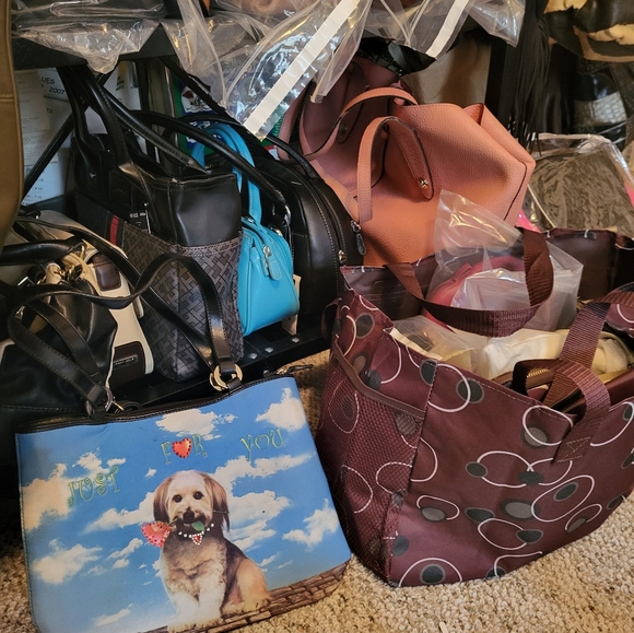 Random Bag Bash 🦈🙂 - Picture 8 of 9